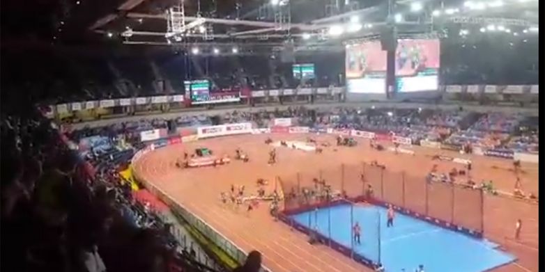 Rezultati Zvone i Ruže u 2017. godini